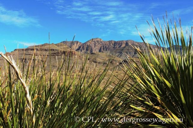 Ross_Maxwell_Scenic_Drive_01