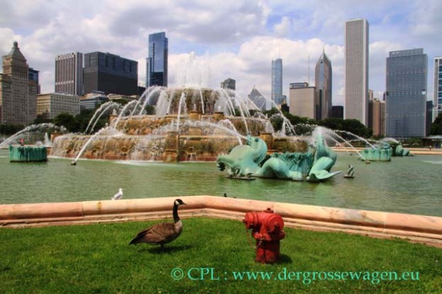 Chicago_15