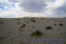 Killpecker_Dunes_02