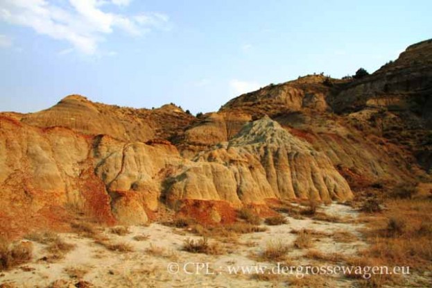 Roosevelt_Nationalpark_Nord03
