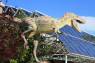 Drumheller_Royal_Tyrell_Museum_02