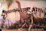 Drumheller_Royal_Tyrell_Museum_16