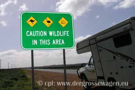 Australien_Schild_Wildlife
