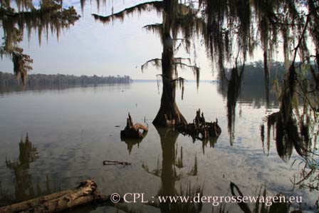 Four-mile-Bayou